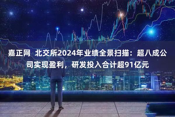 嘉正网  北交所2024年业绩全景扫描：超八成公司实现盈利，研发投入合计超91亿元