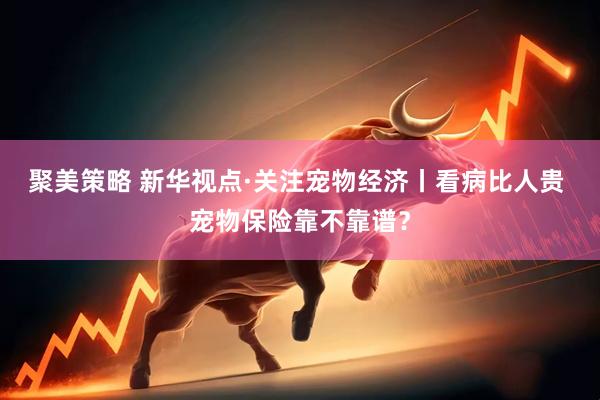 聚美策略 新华视点·关注宠物经济丨看病比人贵 宠物保险靠不靠谱？