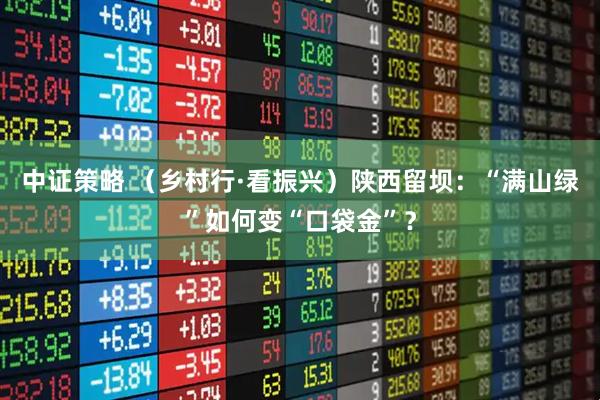 中证策略 （乡村行·看振兴）陕西留坝：“满山绿”如何变“口袋金”？