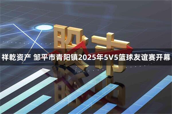 祥乾资产 邹平市青阳镇2025年5V5篮球友谊赛开幕