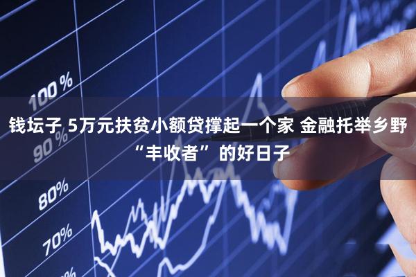钱坛子 5万元扶贫小额贷撑起一个家 金融托举乡野 “丰收者” 的好日子