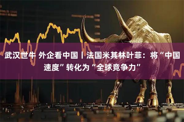 武汉世牛 外企看中国丨法国米其林叶菲：将“中国速度”转化为“全球竞争力”