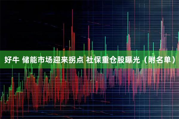 好牛 储能市场迎来拐点 社保重仓股曝光（附名单）