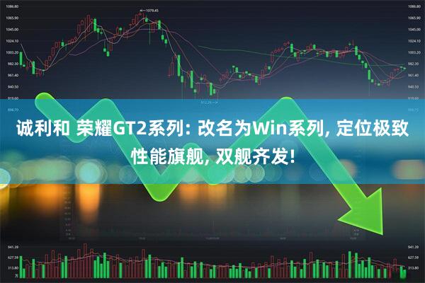 诚利和 荣耀GT2系列: 改名为Win系列, 定位极致性能旗舰, 双舰齐发!