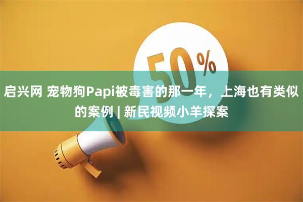 启兴网 宠物狗Papi被毒害的那一年，上海也有类似的案例 | 新民视频小羊探案