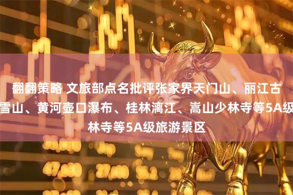 翻翻策略 文旅部点名批评张家界天门山、丽江古城、玉龙雪山、黄河壶口瀑布、桂林漓江、嵩山少林寺等5A级旅游景区